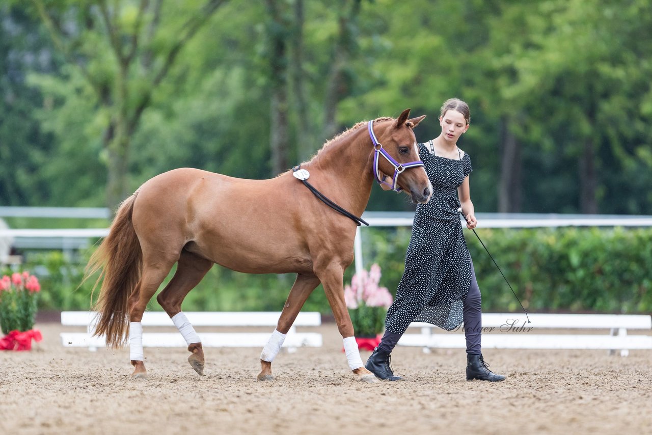 Bild 153 - Pony Akademie Turnier